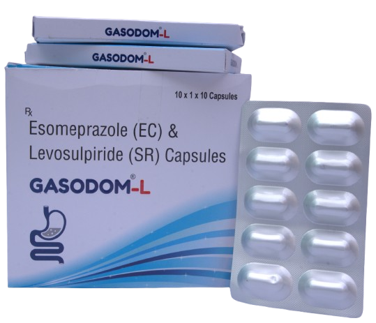 GASODOM-L (1)